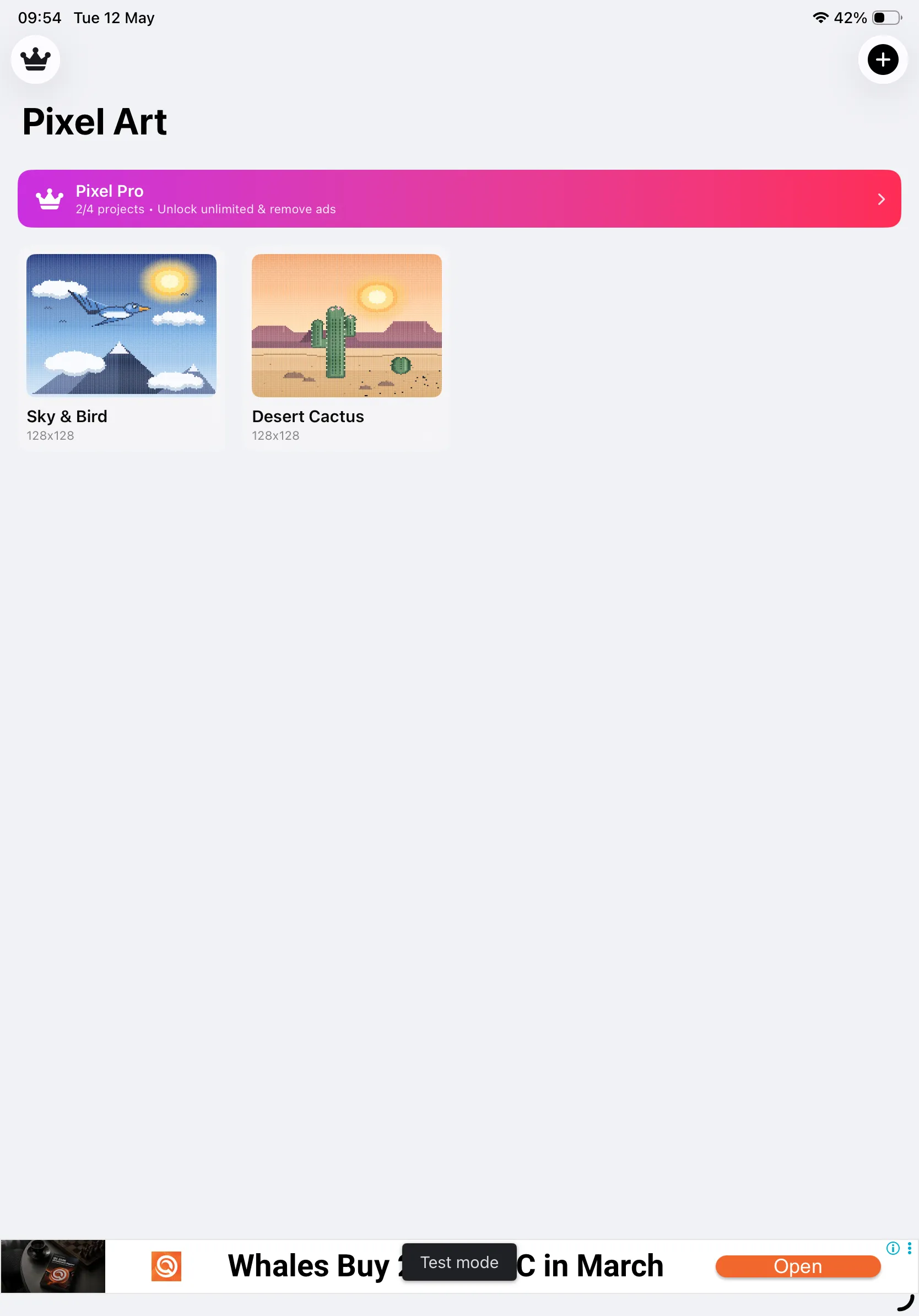 Simple Pixel Arts Maker project gallery on iPad with Pixel Pro banner