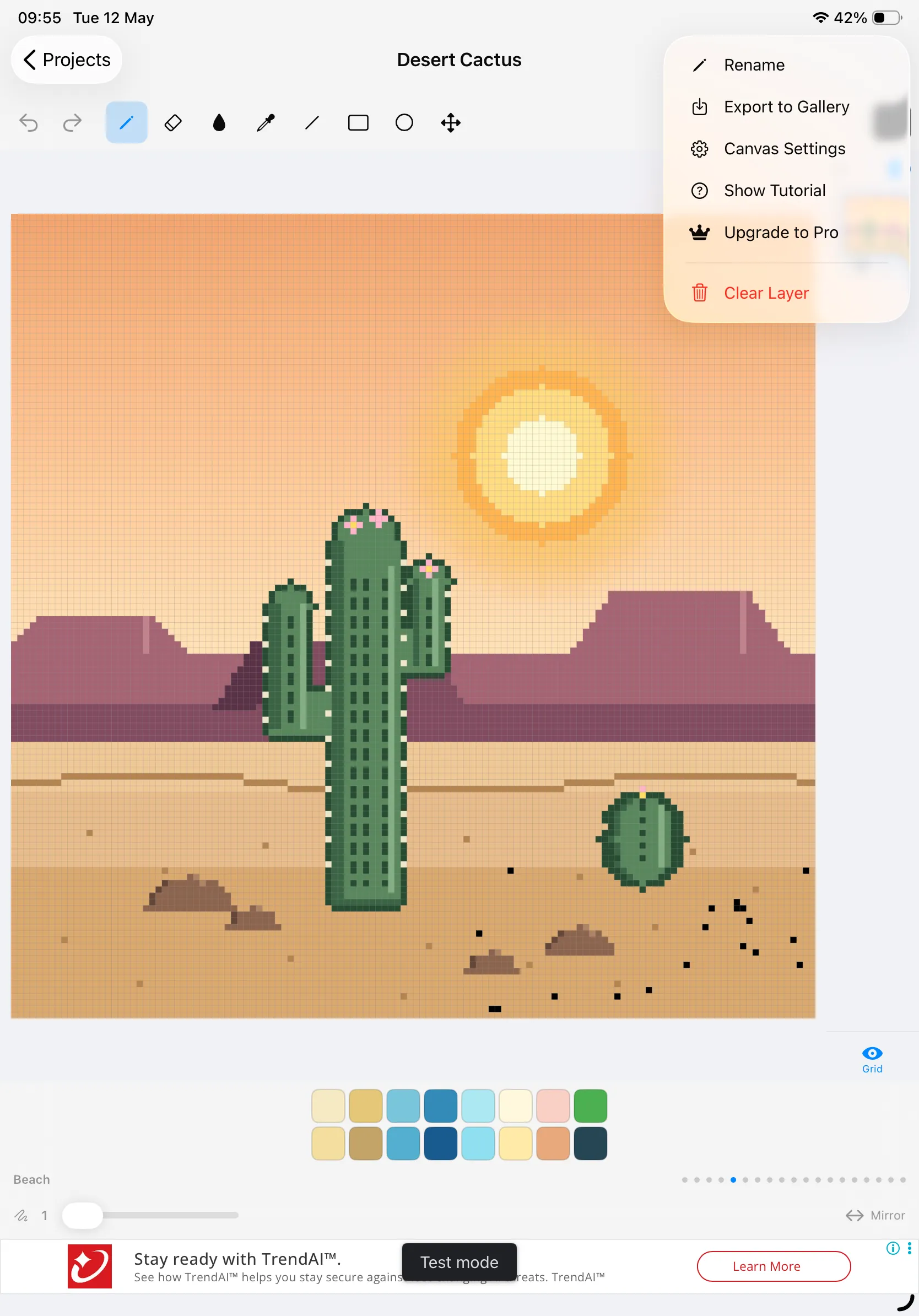 Project menu on iPad with Rename, Export to Gallery, Canvas Settings, Show Tutorial, Upgrade to Pro and Clear Layer