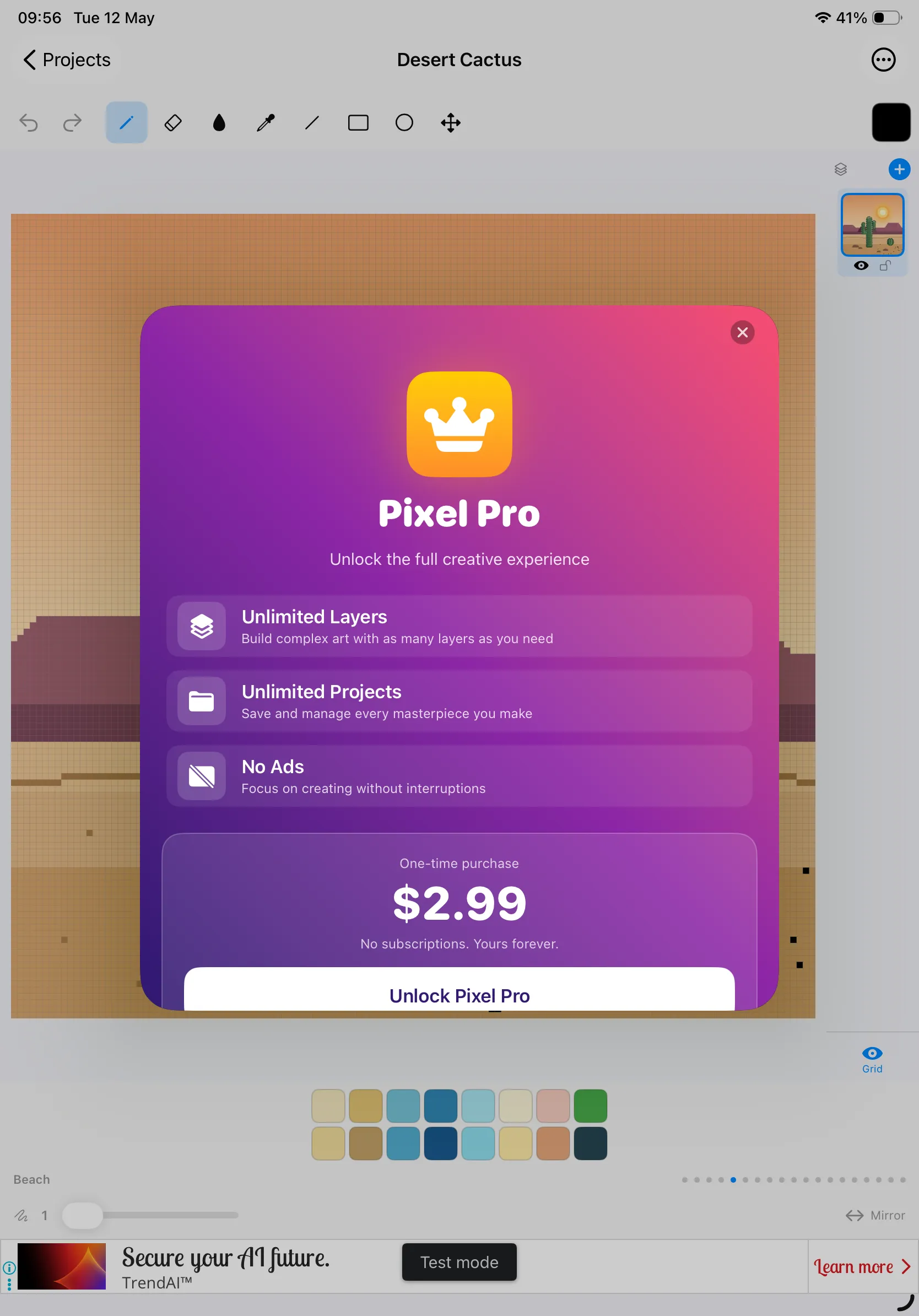 Pixel Pro paywall on iPad showing $2.99 one-time purchase and benefits