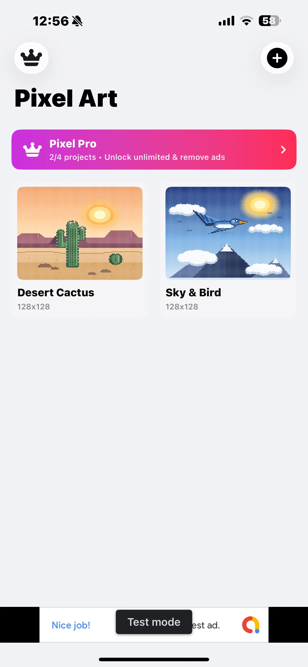Simple Pixel Arts Maker project gallery on iPhone showing Desert Cactus and Sky & Bird thumbnails