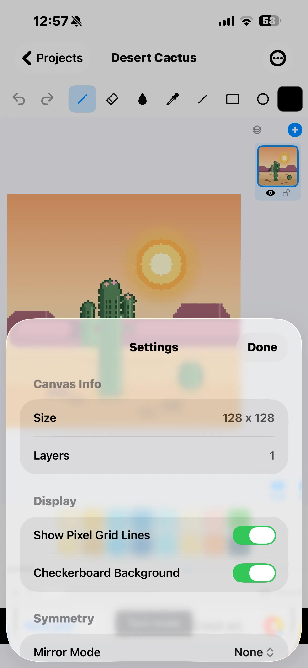 Canvas Settings sheet on iPhone showing size, layers, grid lines and checkerboard background