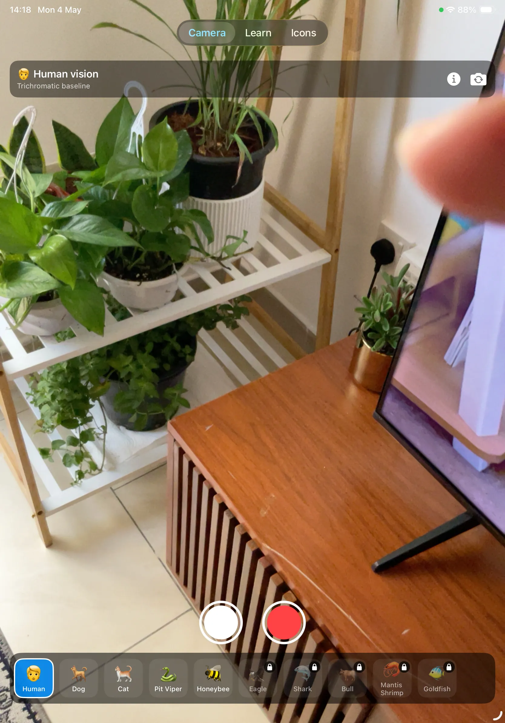 Animal Eyes on iPad showing human vision of indoor plants