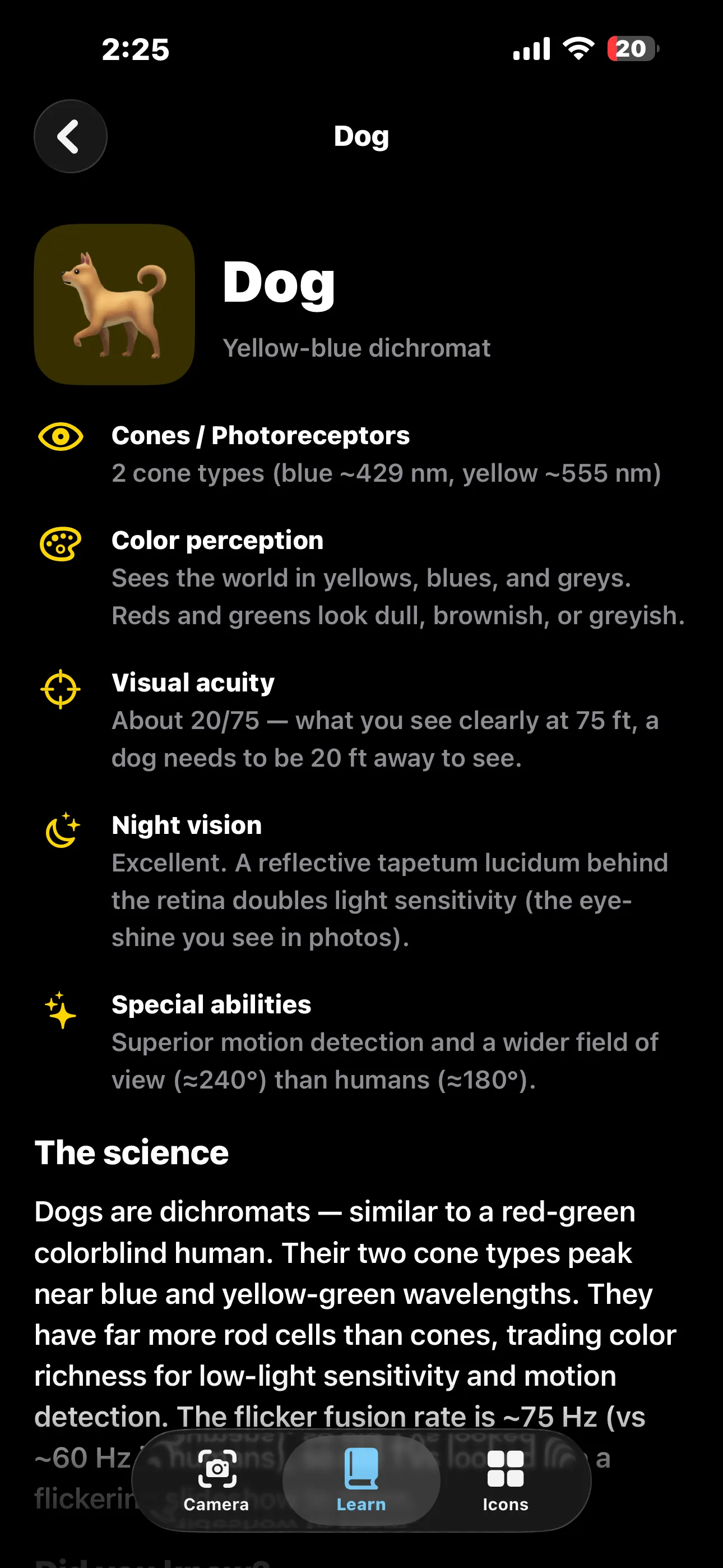 Animal Eyes Learn tab detail page about dog vision