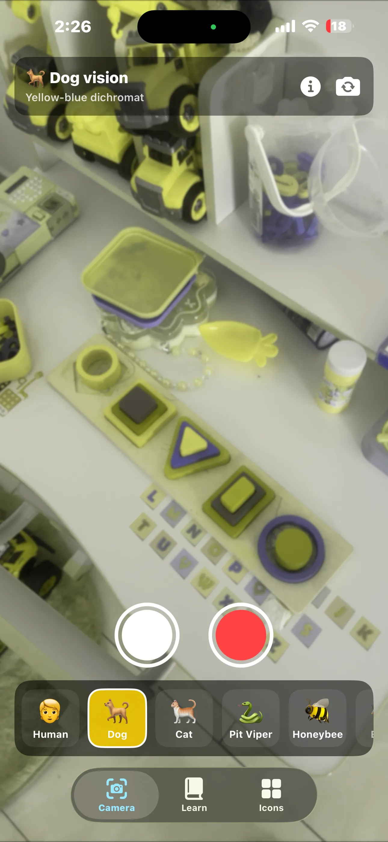 Animal Eyes camera tab showing dog vision of children's toys