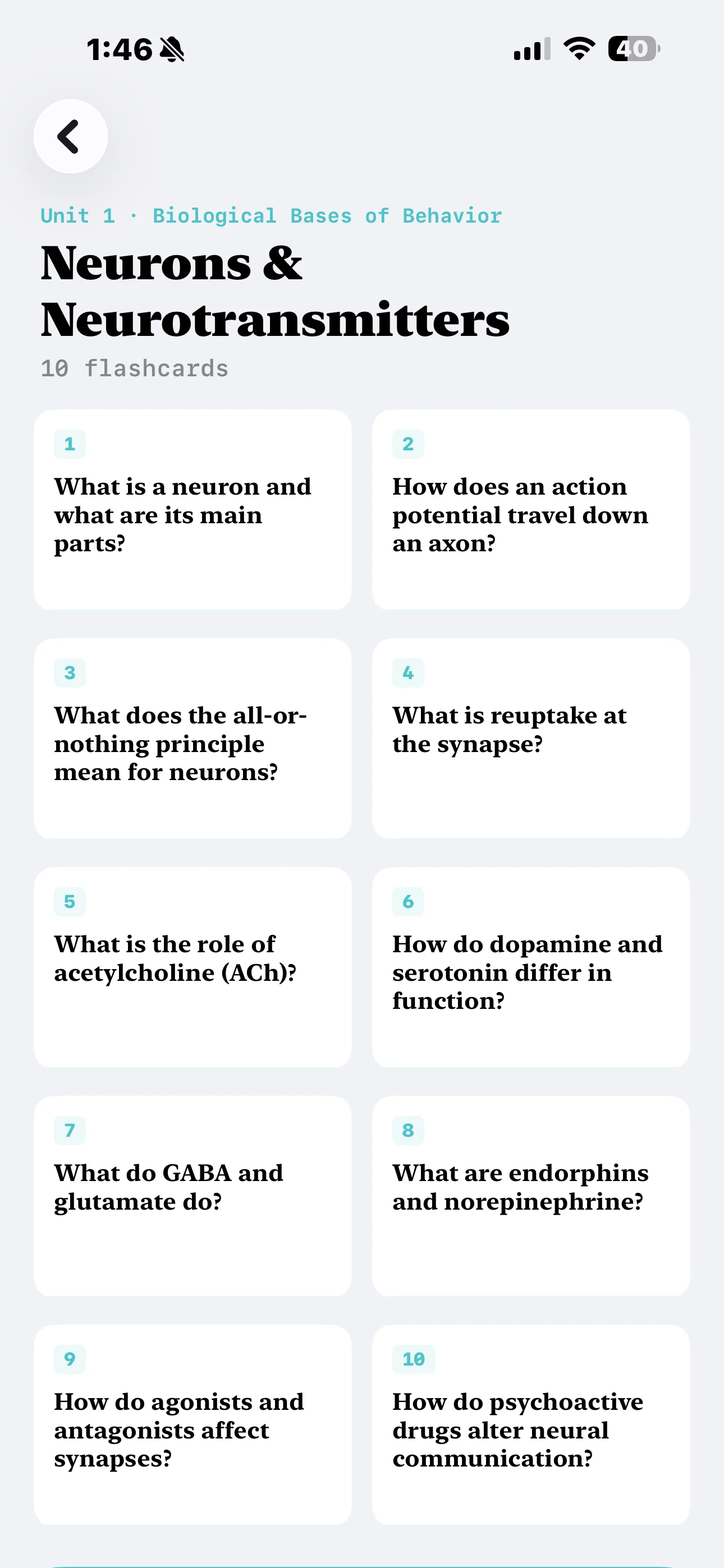 iPhone Screenshot - Flashcard List Light Mode