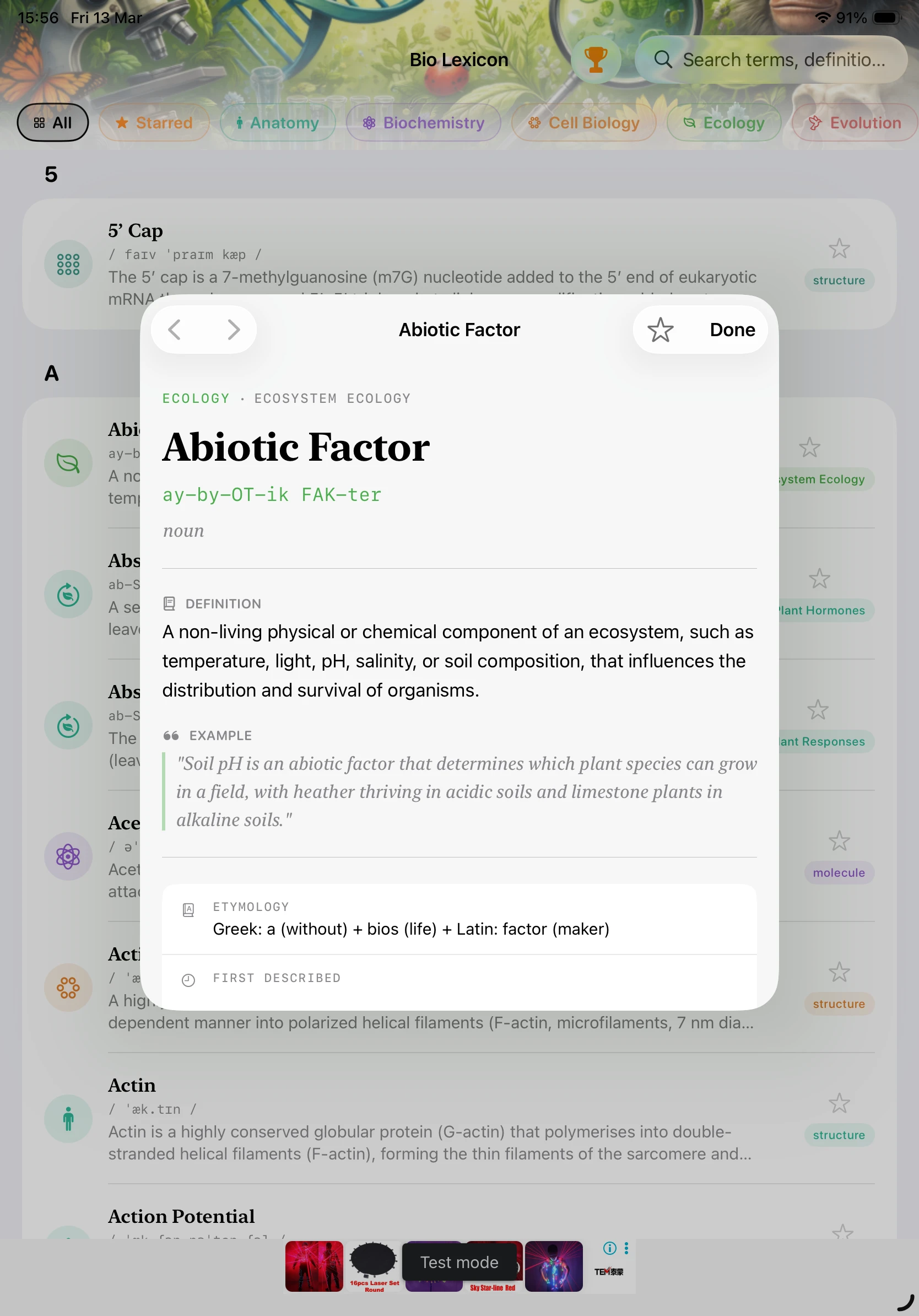 iPad - Term Detail (Light Mode)