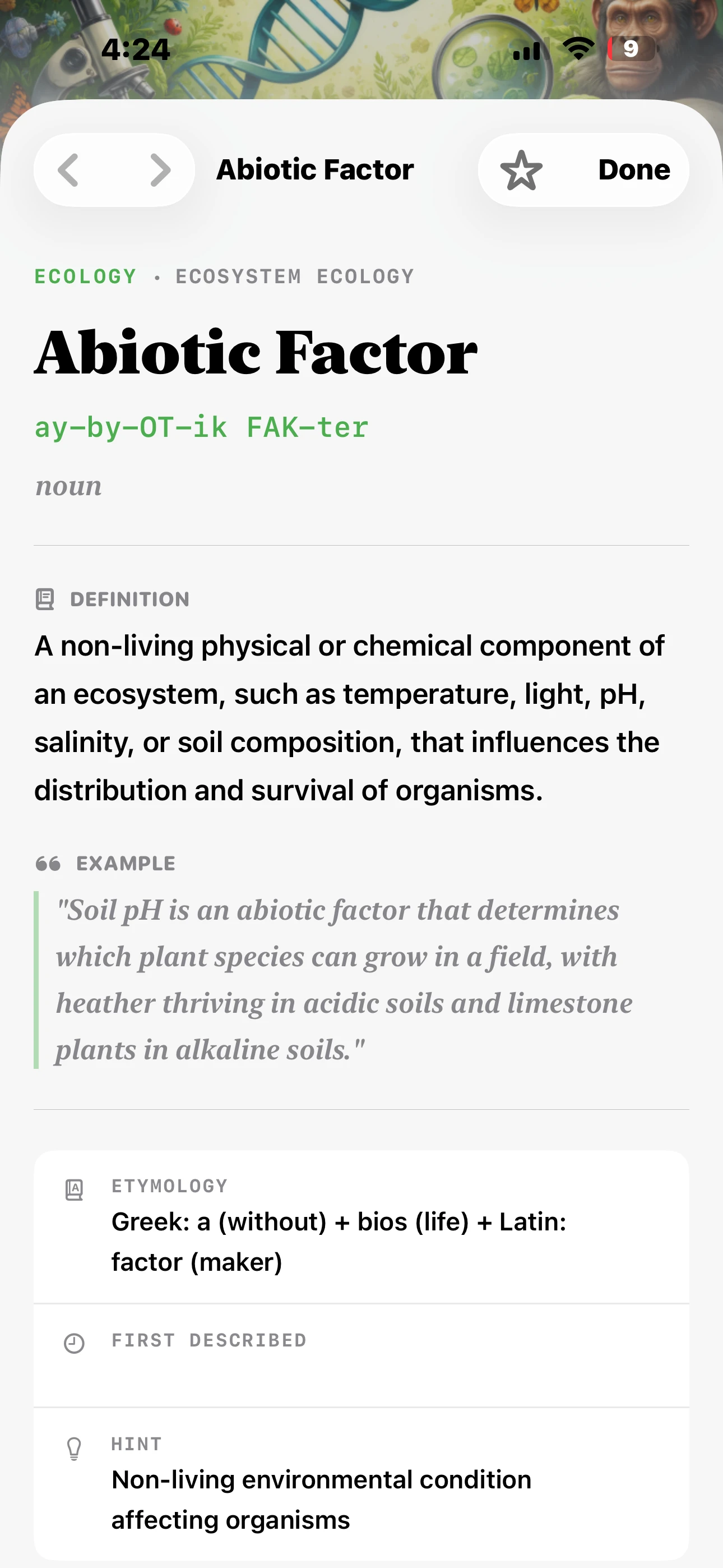iPhone - Term Detail (Light Mode)