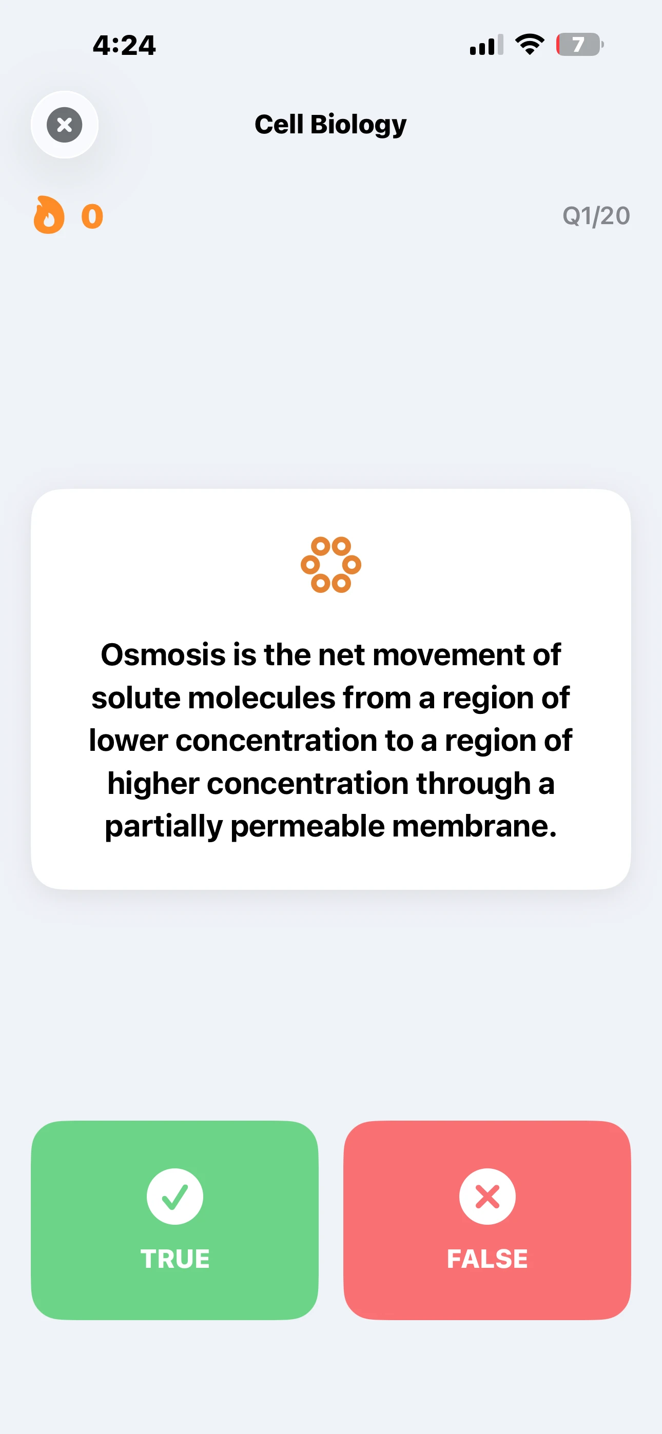 iPhone - Quiz Question (Light)