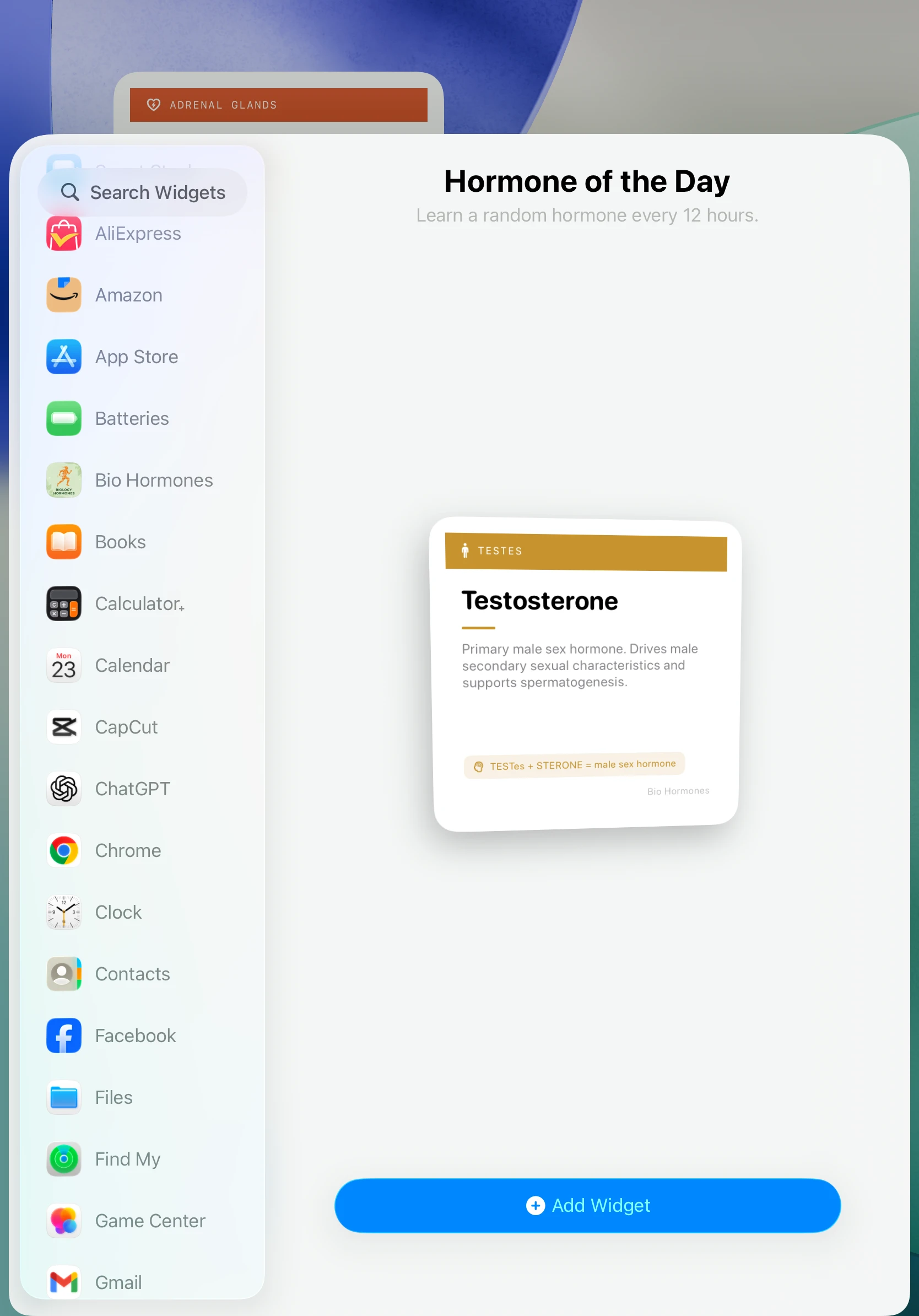 iPad - Widget Gallery