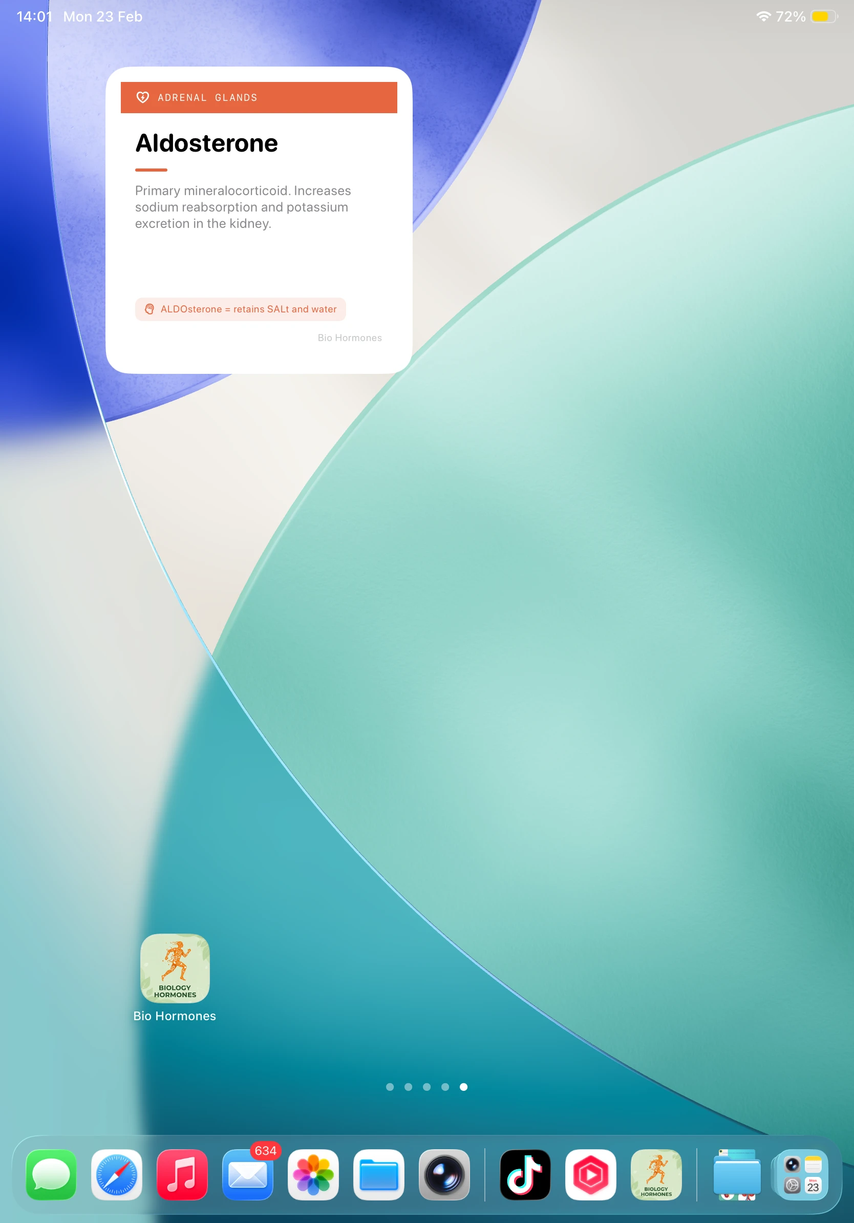 iPad - Widget on Home Screen (Light)