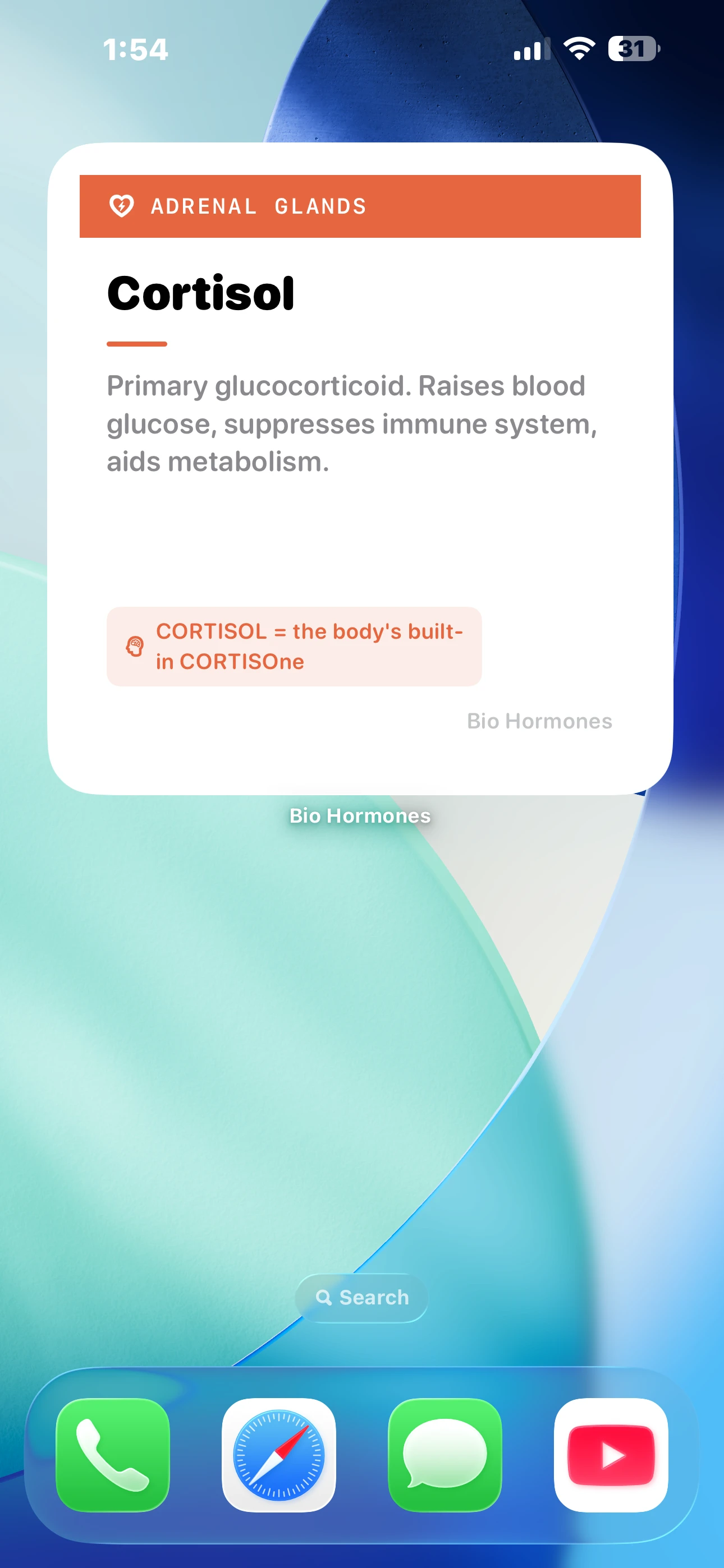 iPhone - Widget on Home Screen