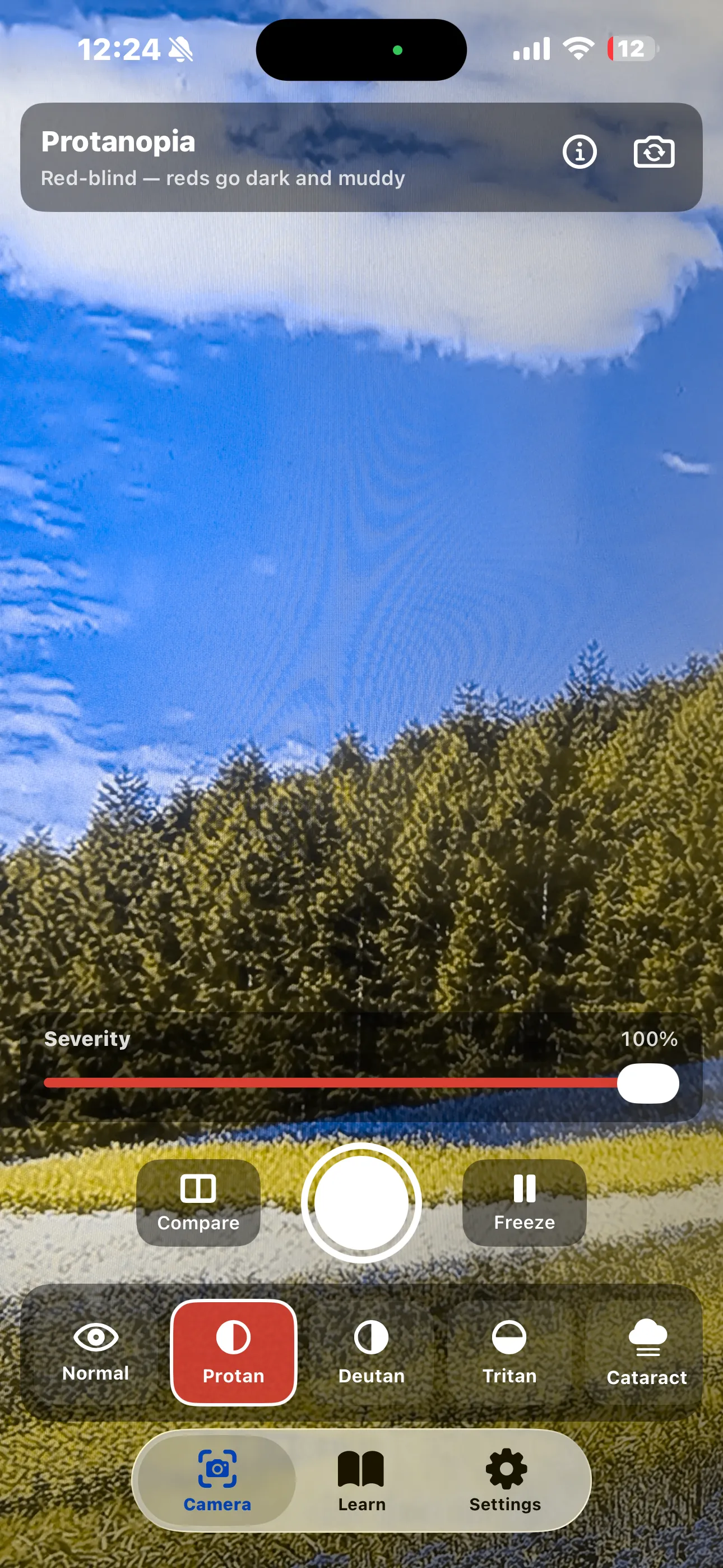 Protanopia simulation at 100% severity — green foliage shifted to khaki-yellow, with the red severity slider