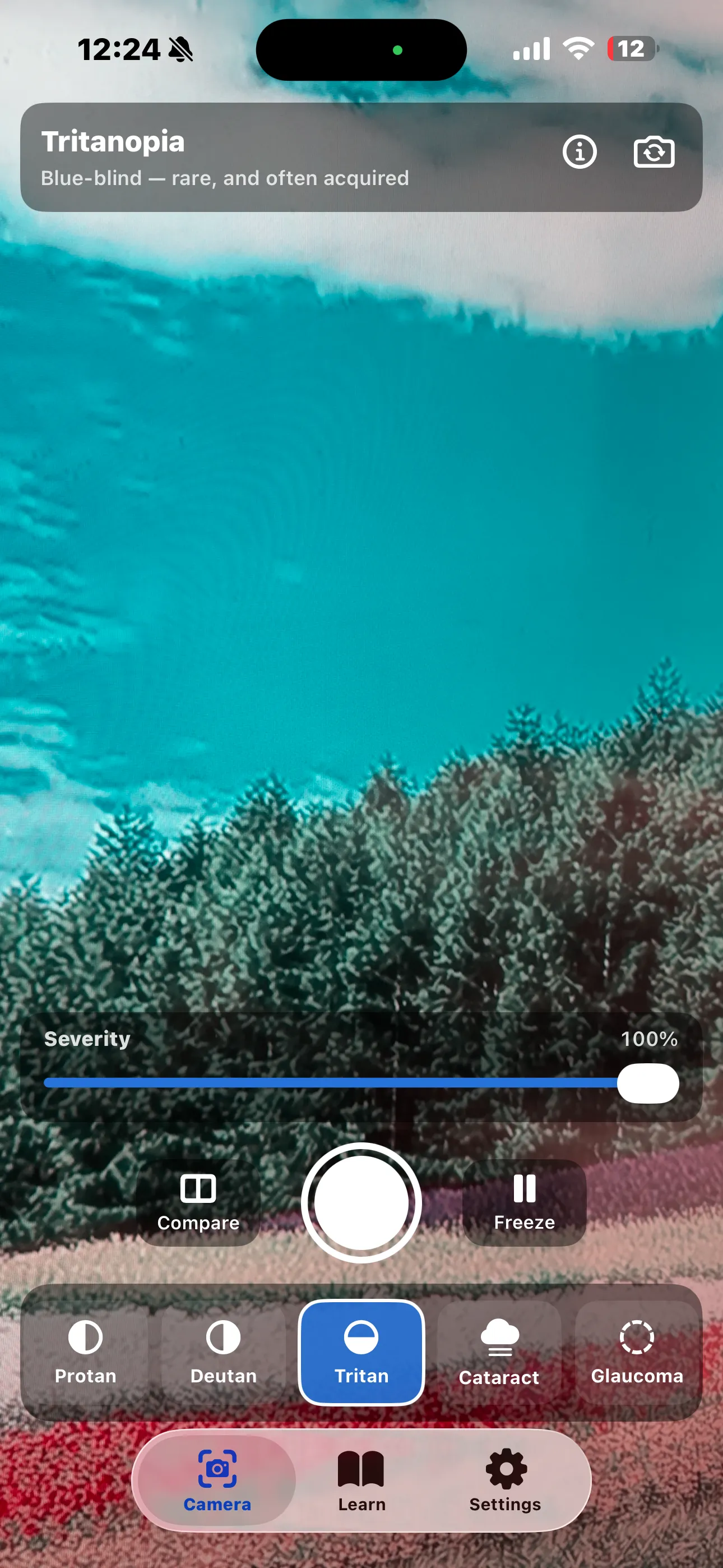 Tritanopia simulation — the blue sky rendered as turquoise and the field shifted toward pink