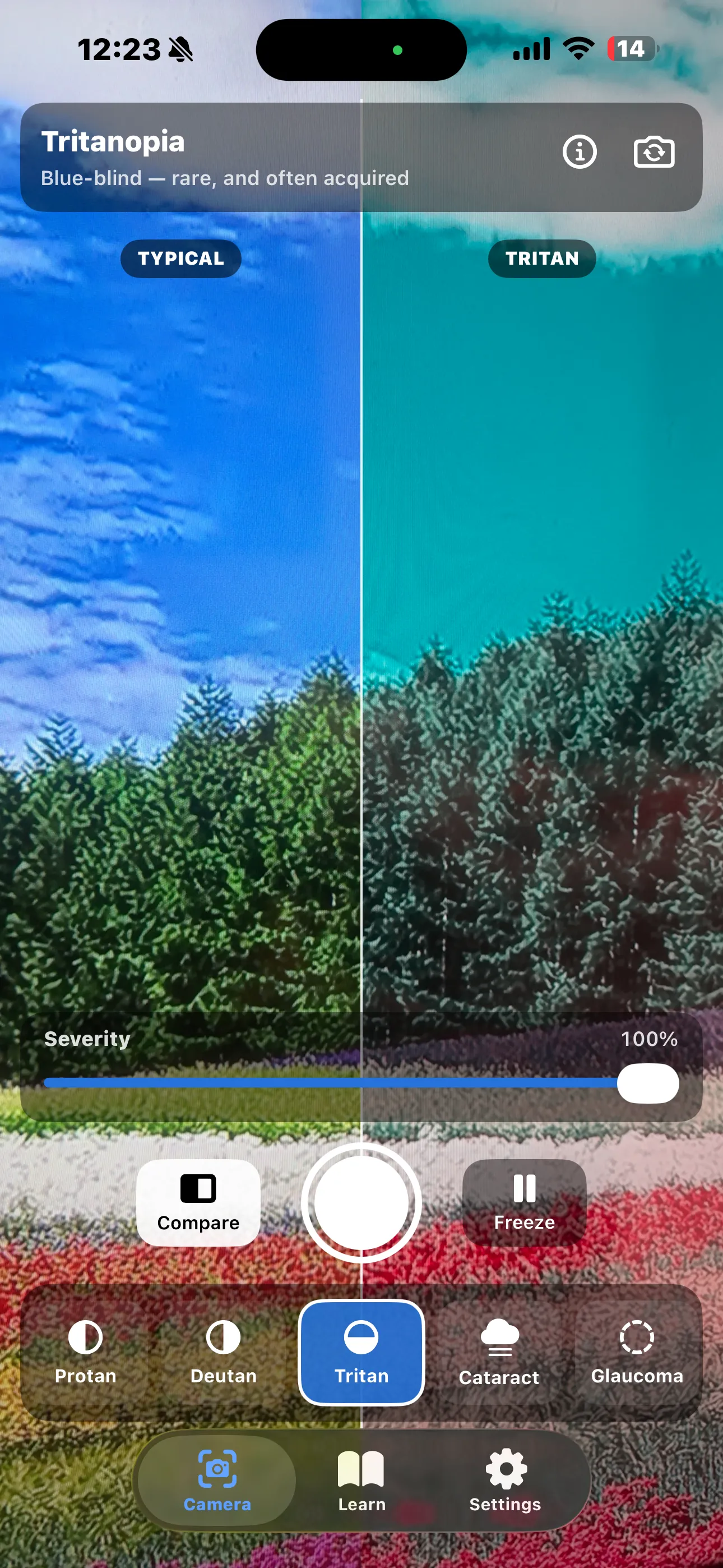 Compare mode splitting the screen — the untouched scene labelled TYPICAL on the left, the tritanopia simulation labelled TRITAN on the right