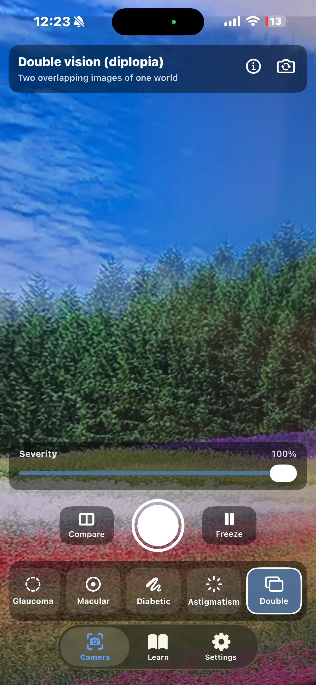 Double vision simulation — a second, semi-transparent copy of the scene offset from the first