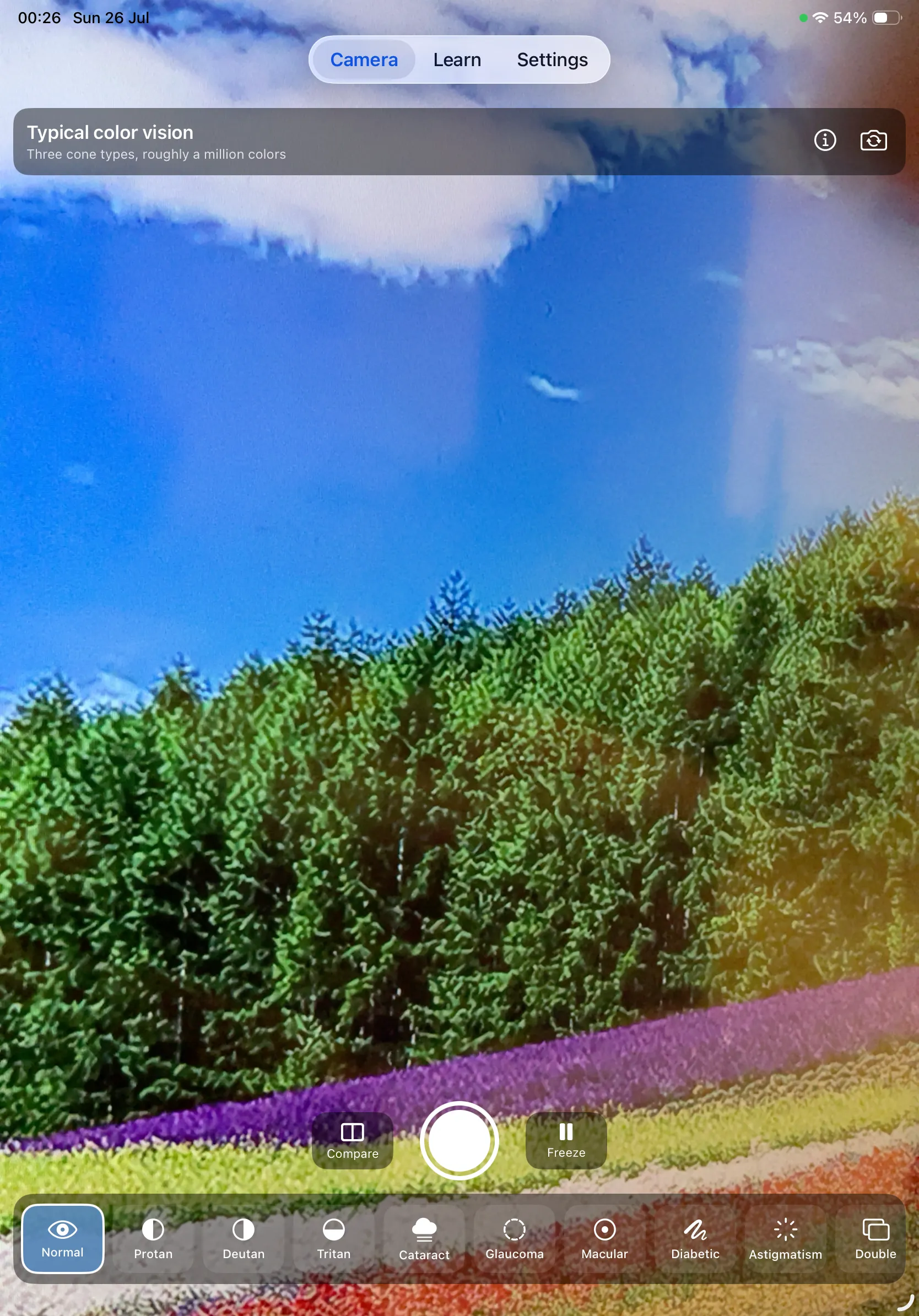 Color Blind Cam on iPad — the untouched baseline with all ten filters visible along the bottom