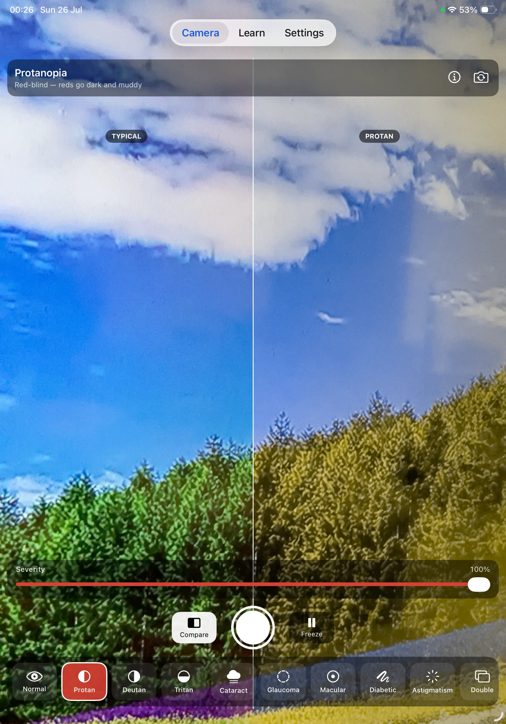 Color Blind Cam on iPad — protanopia in compare mode, typical on the left and protan on the right