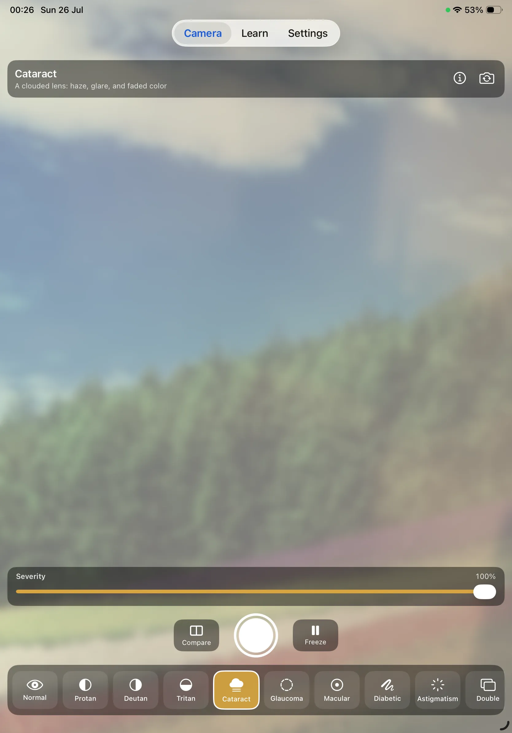 Color Blind Cam on iPad — the cataract simulation hazing and yellowing the whole scene