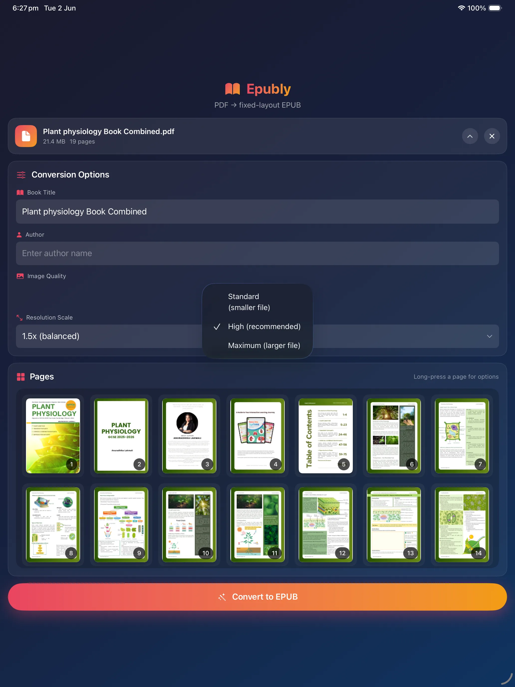 Conversion options and image quality on iPad