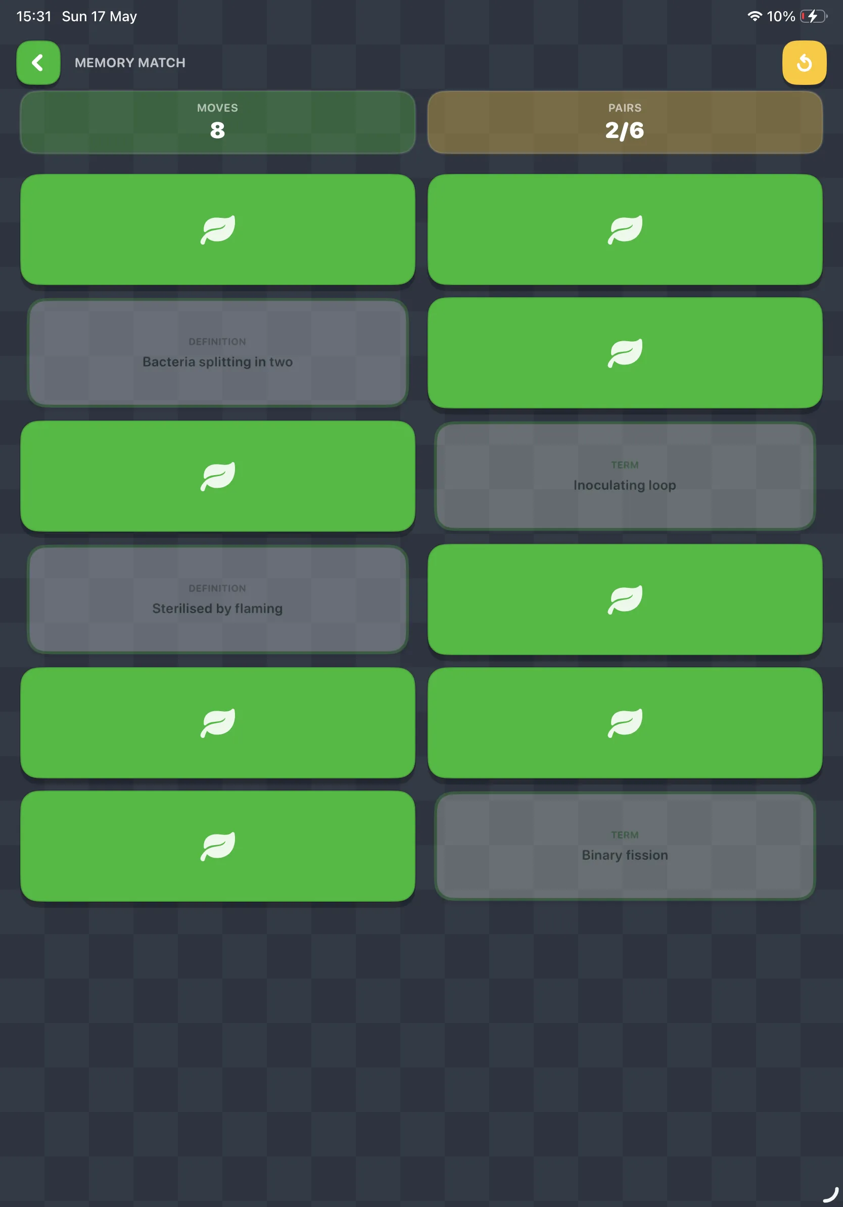 iPad Screenshot - Memory match in play
