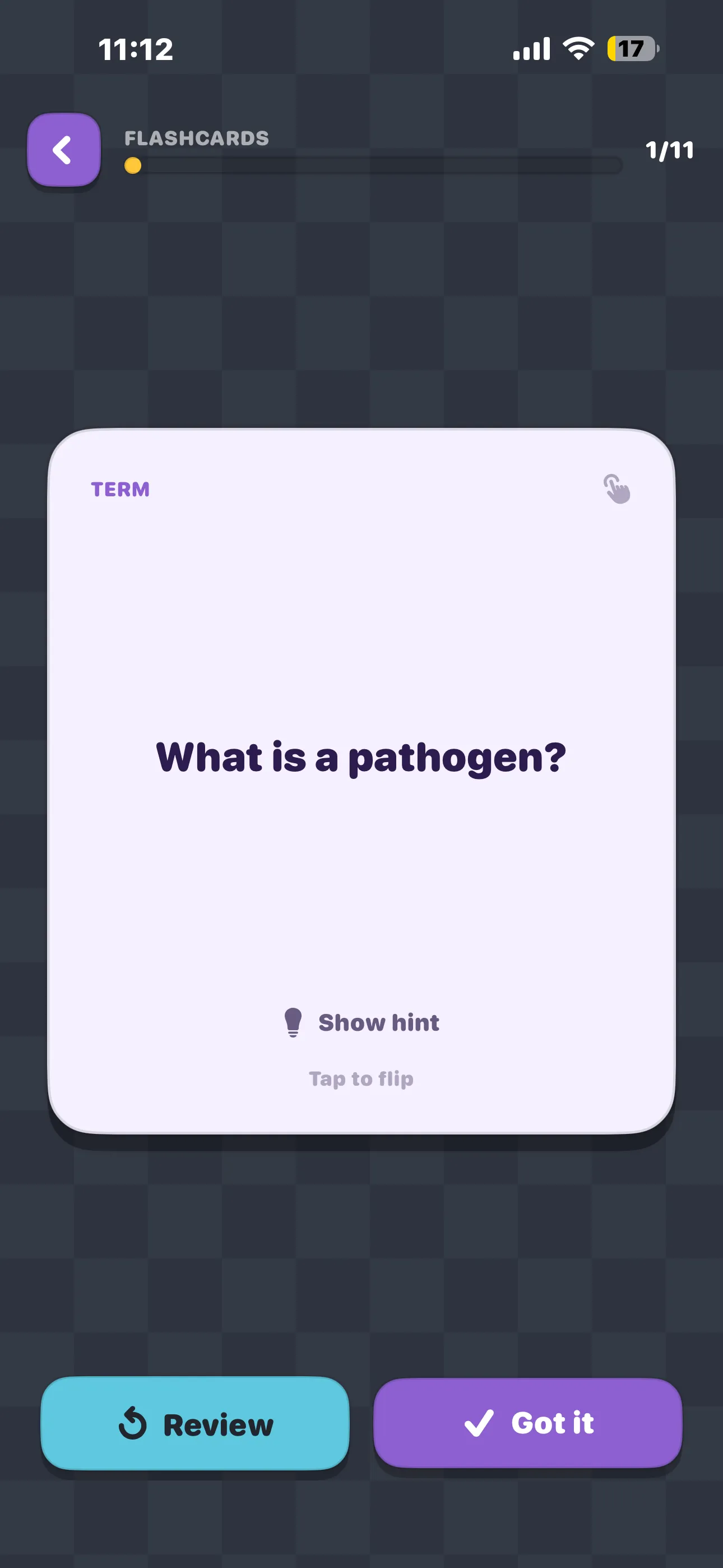 iPhone Screenshot - Flashcard view
