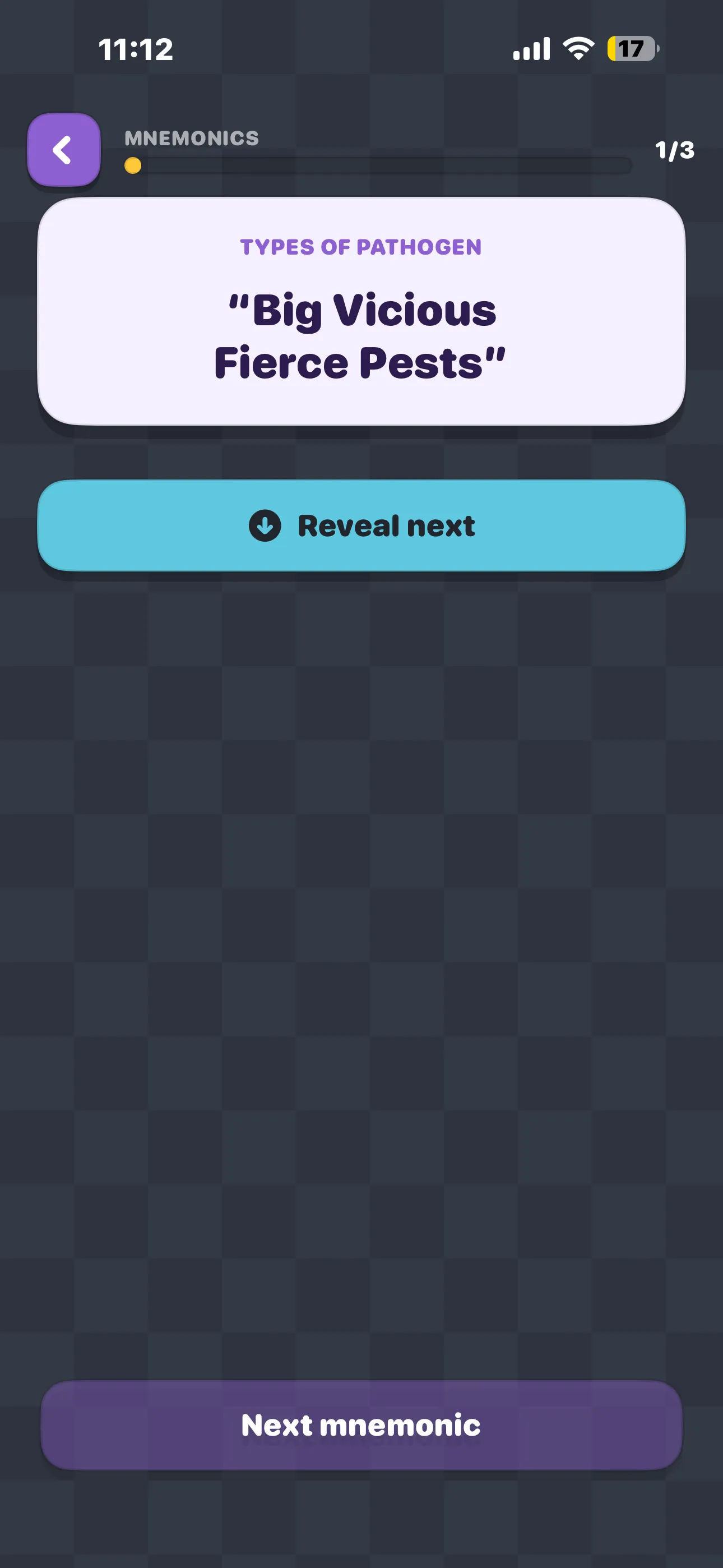 iPhone Screenshot - Mnemonic title