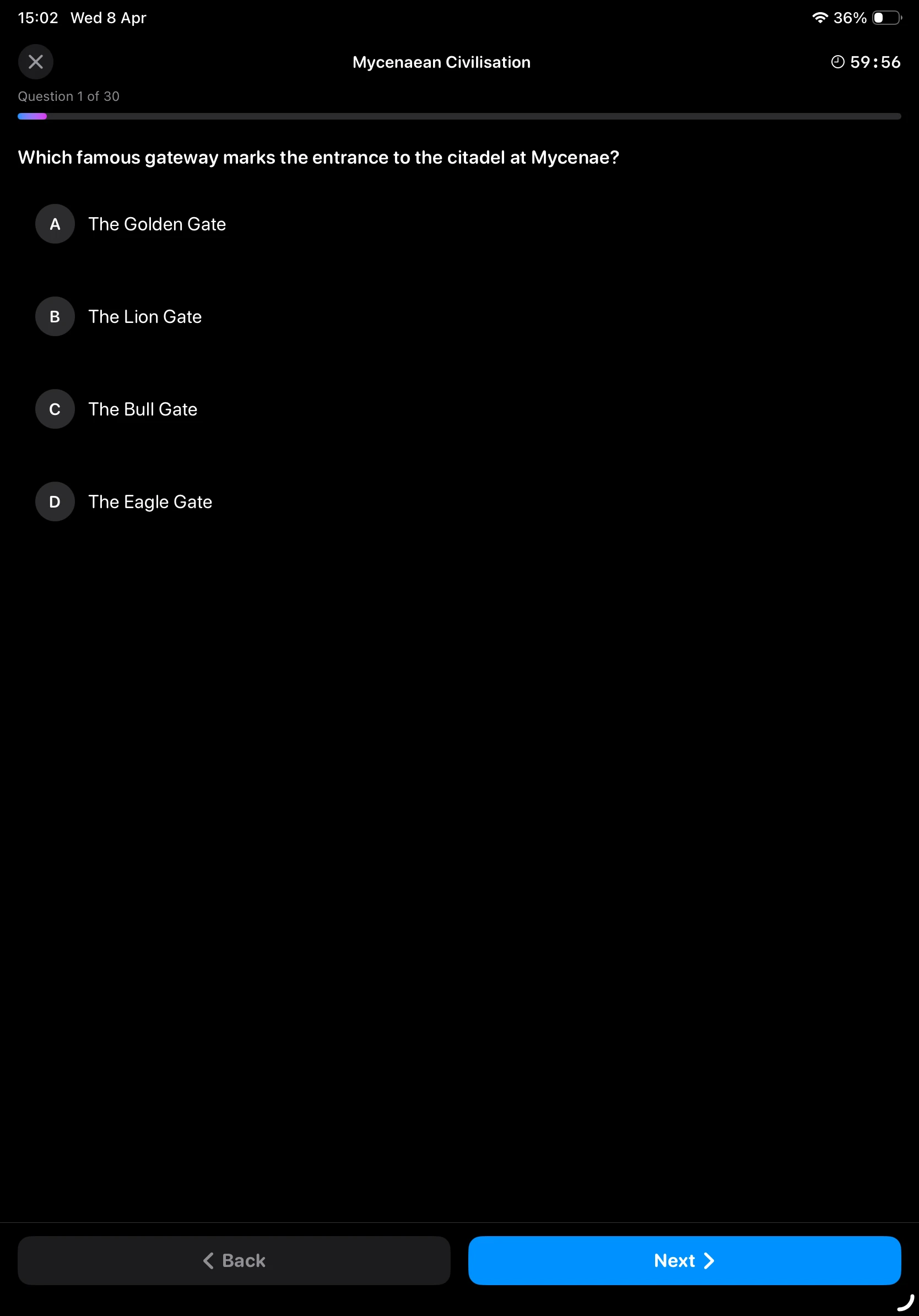 iPad Screenshot - Review Answers Dark Mode
