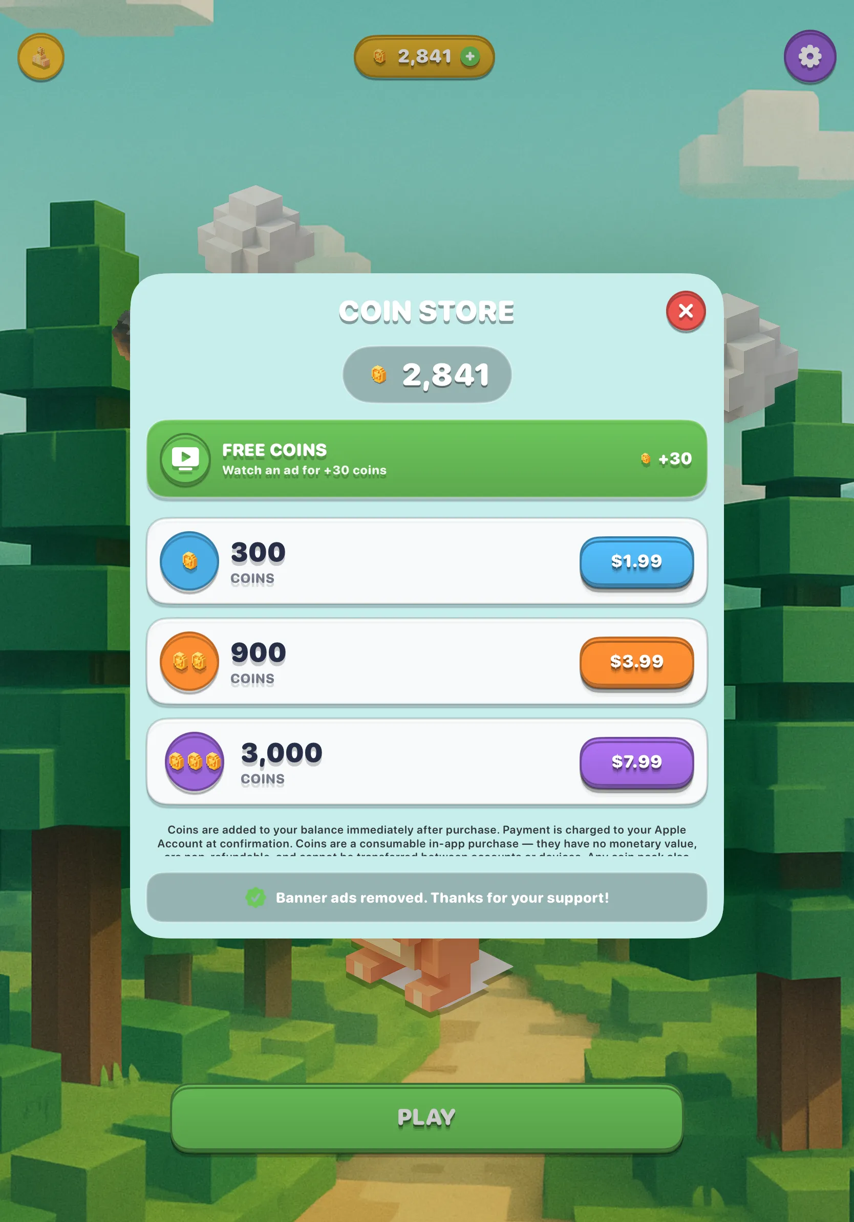 Coin store on iPad — Free Coins card and three coin packs above the banner-ads-removed confirmation