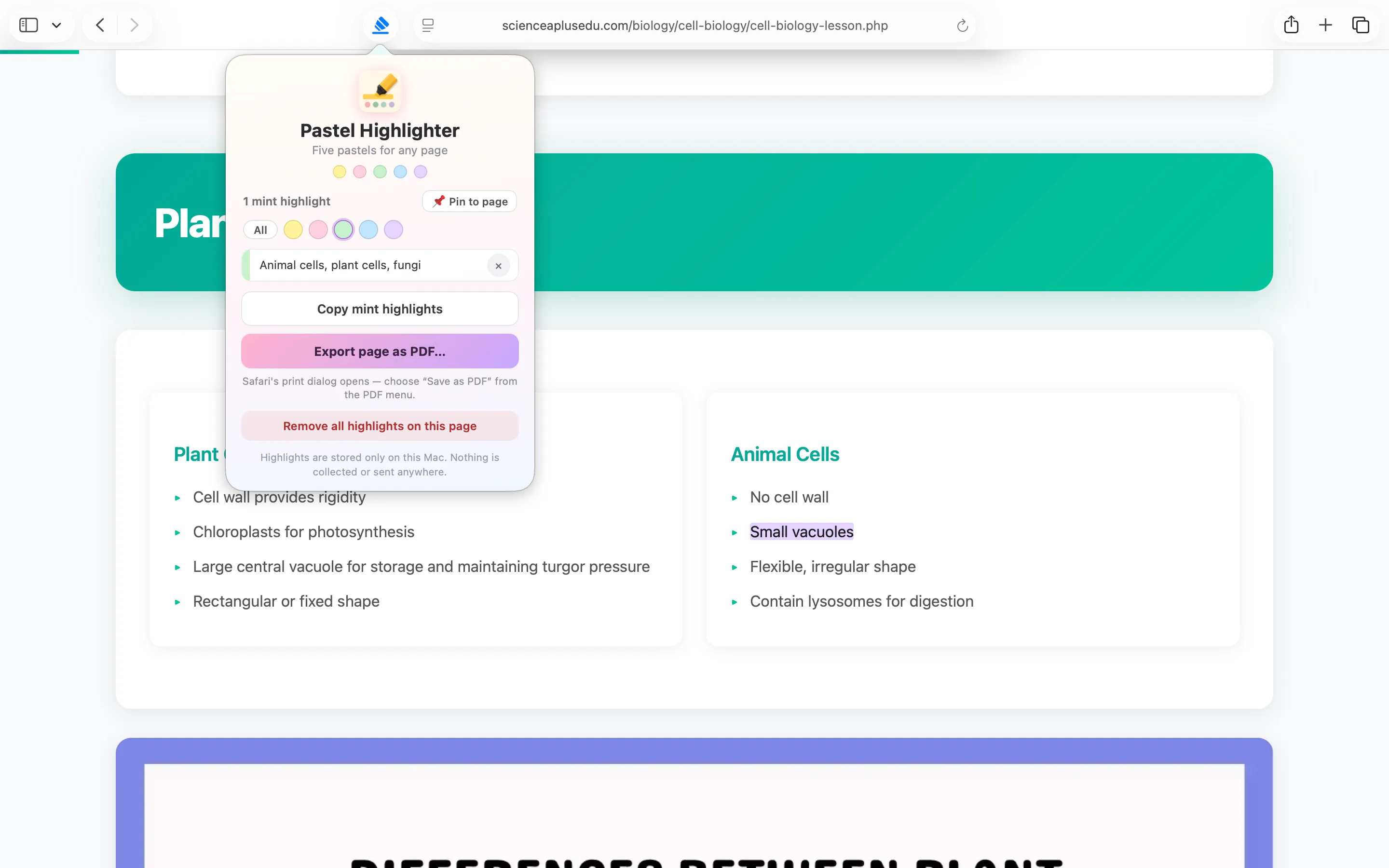 Pastel Highlighter popup filtered to only the mint highlights, showing a Copy mint highlights button